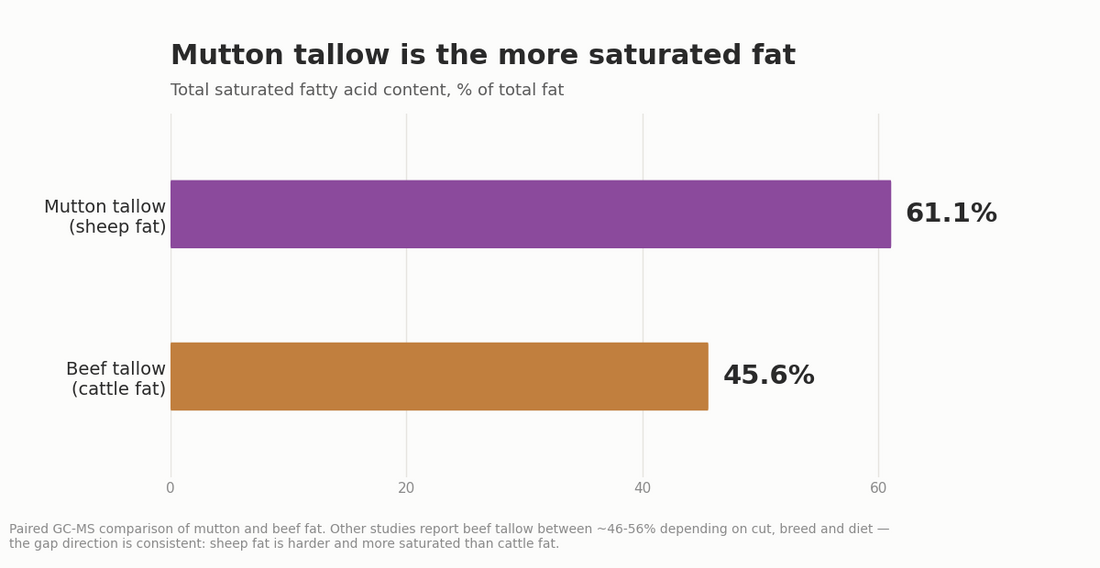 Chart comparing saturated fat content of mutton tallow (61.1%) and beef tallow (45.6%), showing sheep fat is the more saturated and firmer fat