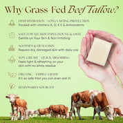 Minty Beef Tallow Soap Twin Pack – Natural Peppermint Spearmint 4.5 oz