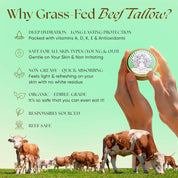 Beef tallow sunscreen and after-sun repair duo infographic on grass-fed beef tallow benefits, reef-safe hydration and protection, Eat My Face tin
